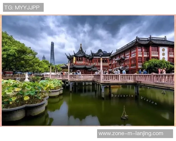 东京与上海的城市魅力对比探索现代化与传统文化的交融之美